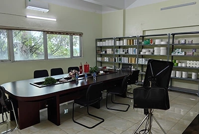 Company Overview