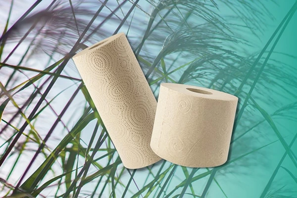 Sustainable toilet paper: Why the fiber is crucial for the environment and quality
