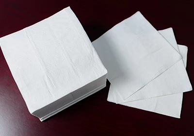 Paper Napkin
