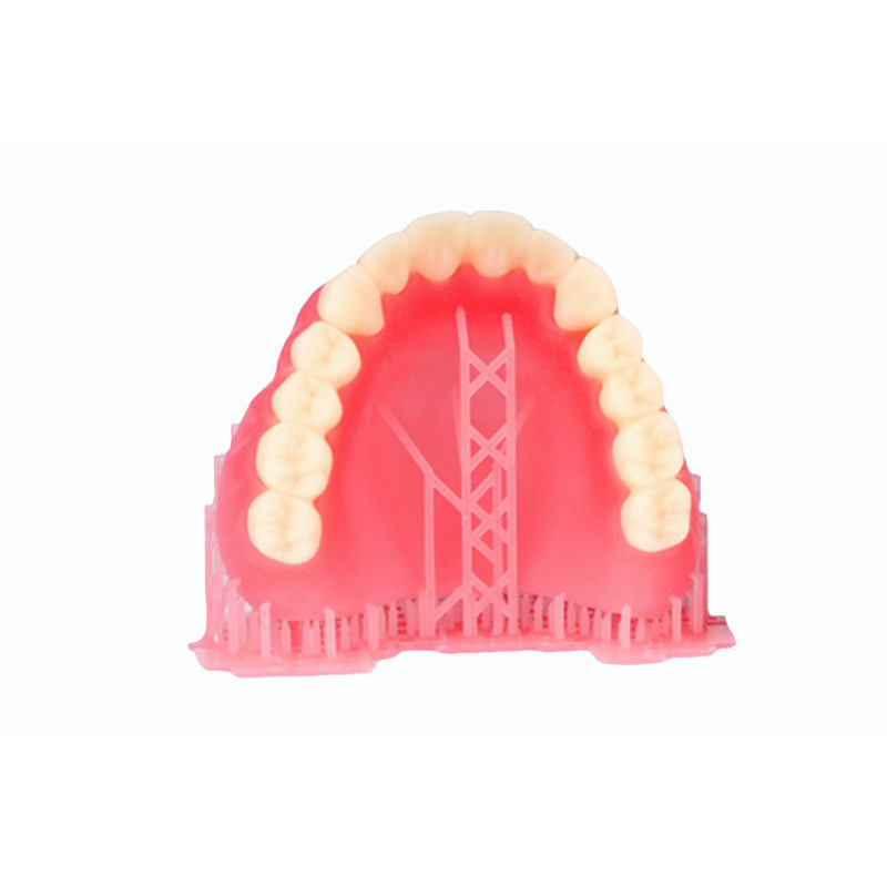 Denture Base Resin