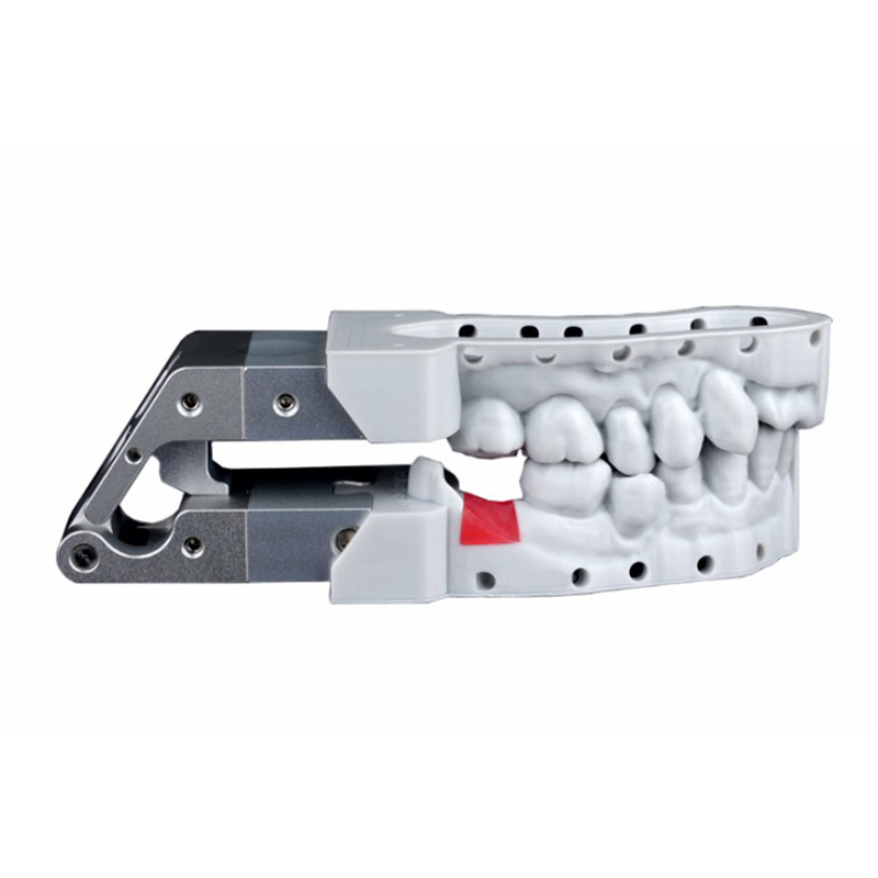 Gingiva Mask Resin