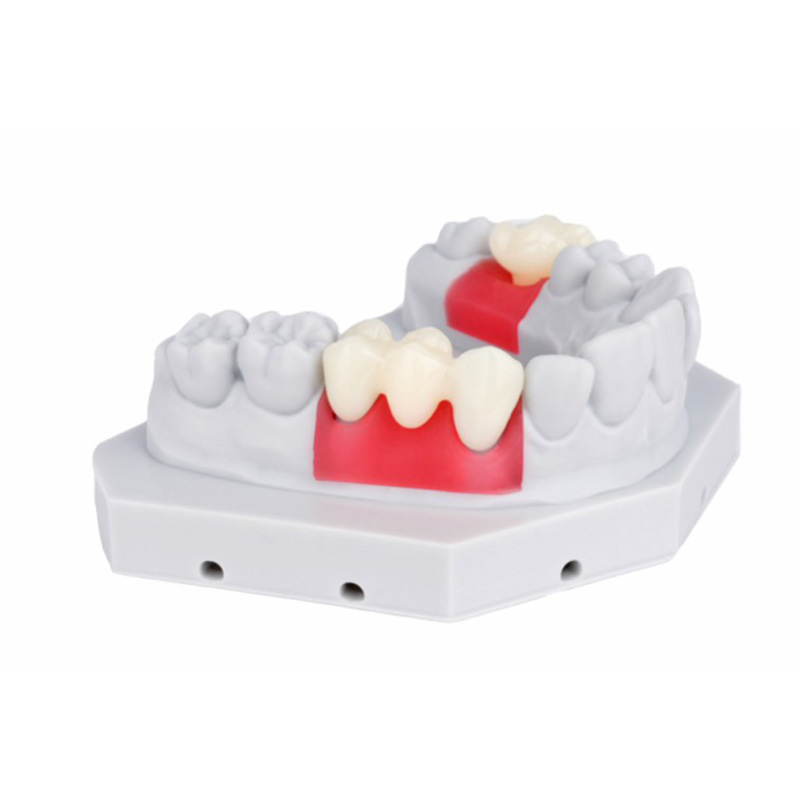 Gingiva Mask Resin