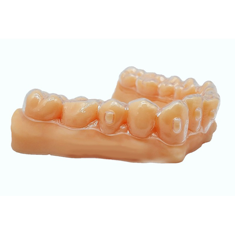 Ortho Model Resin
